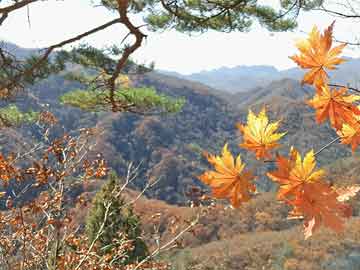 乔玥梁闫锋最新章节深度解析与探讨