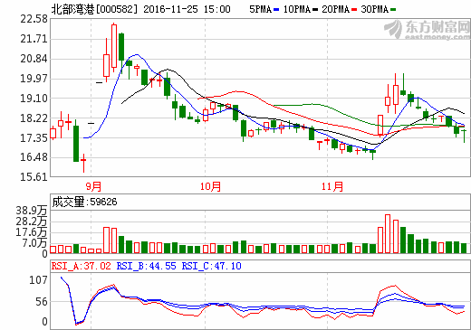 北部湾现象解读最新版，一个温馨的日常故事启示